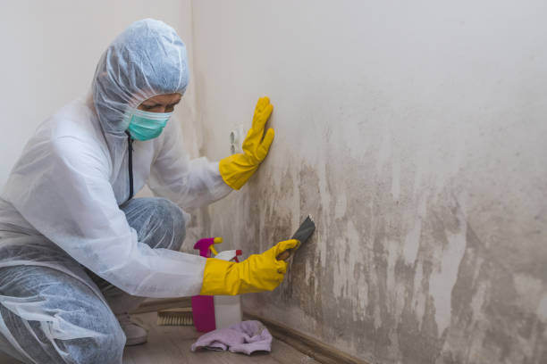 Best Asbestos and Lead Testing During Mold Inspection  in Tahoe Vista, CA